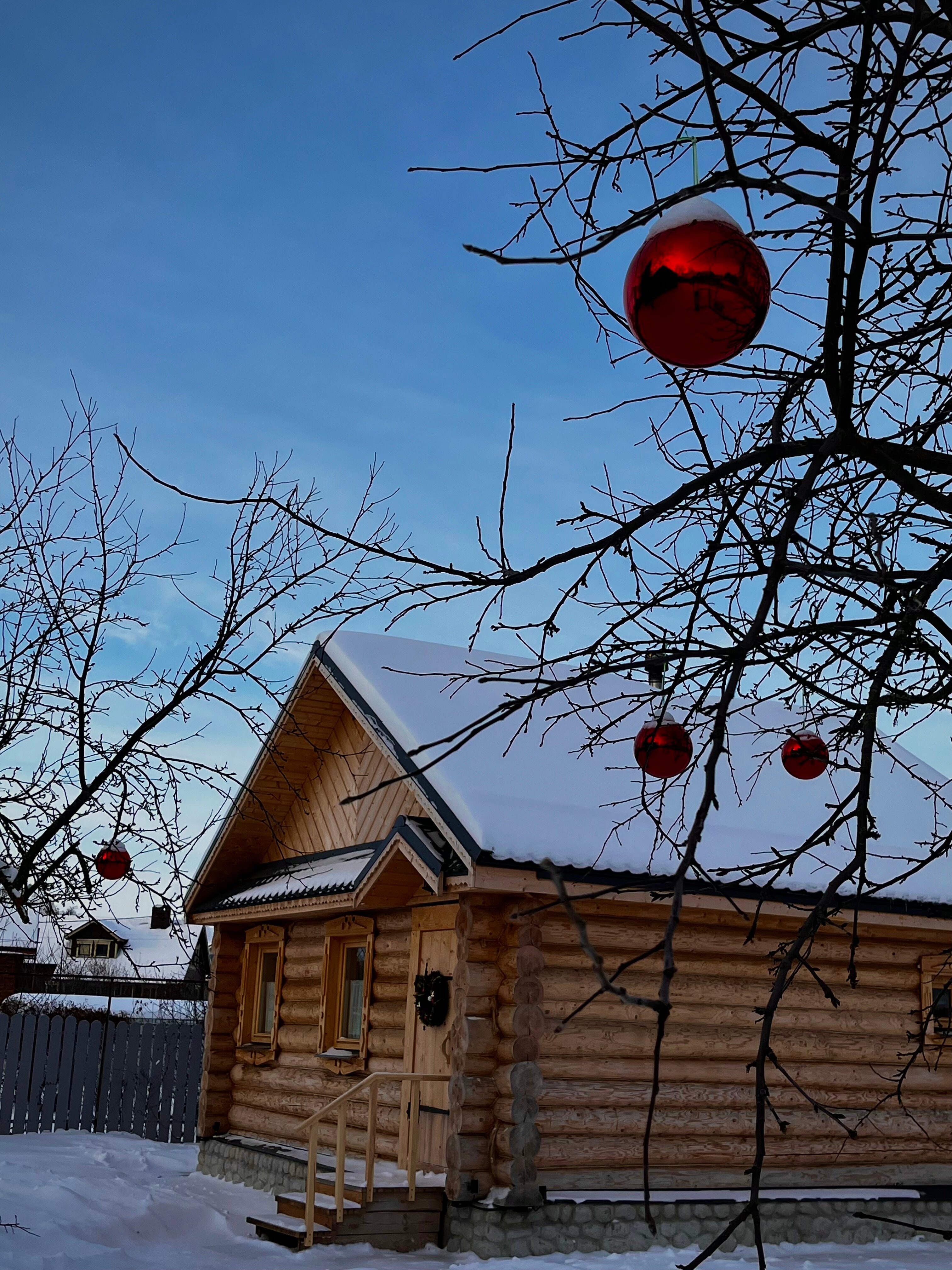 Фото Сирин дом