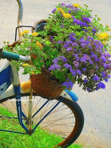 Фото Hotel La Petite Maison