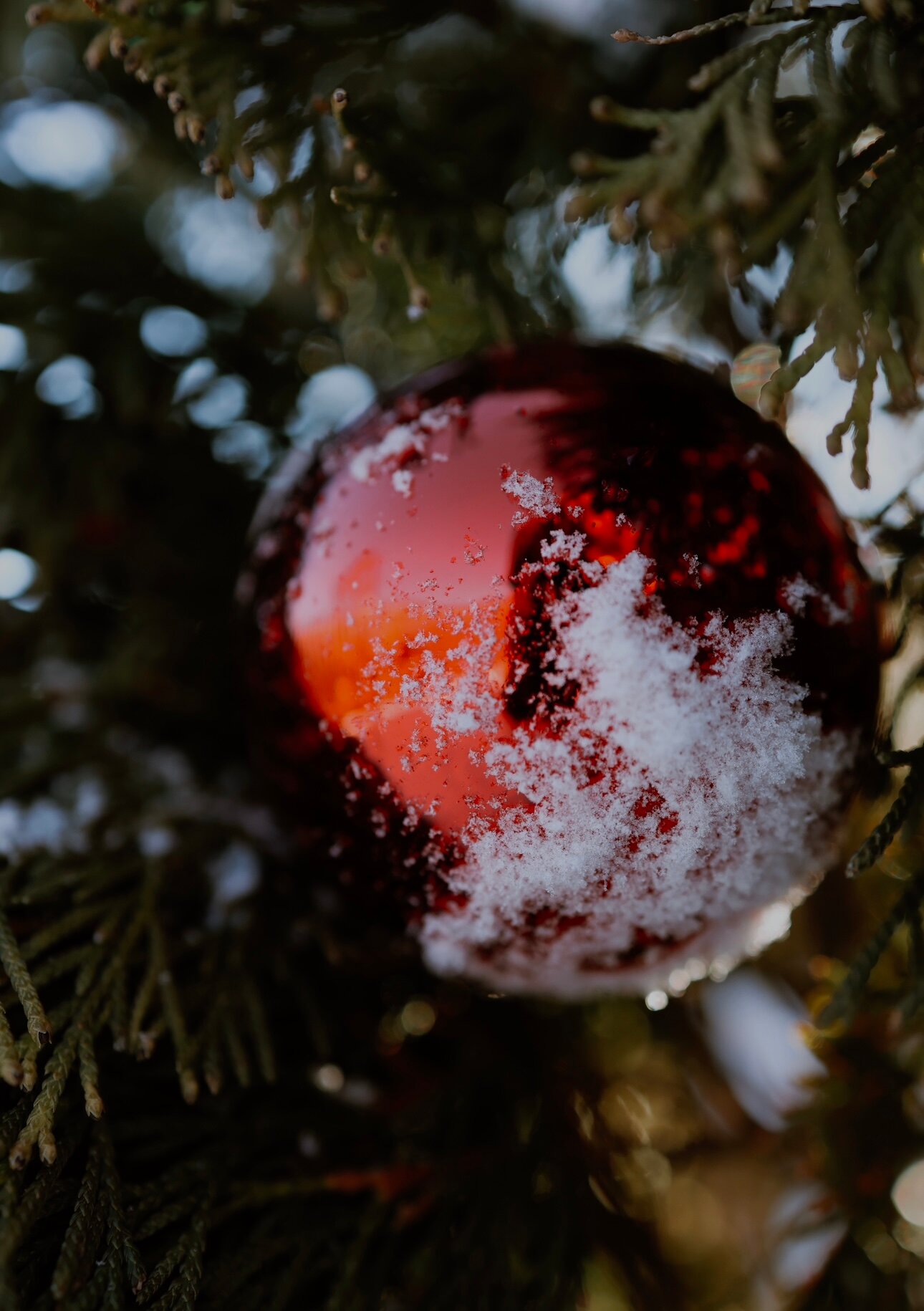 Фото Волшебное место