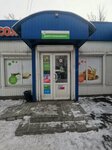 Fasol' (ulitsa Chelyuskina, 50Б) ، محل بقالة