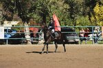 Candy horse (Zaozyornaya ulitsa, 16), horse harness