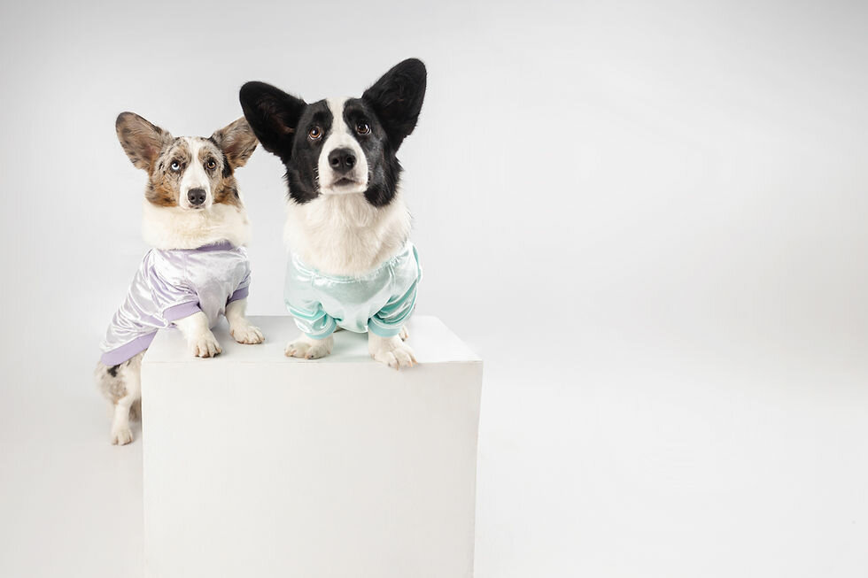 Photo studio Tatiana Estudio Audiovisual, Lima, photo