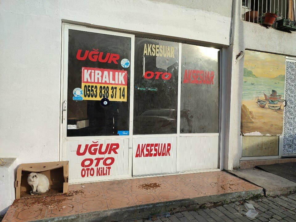 Auto accessories Uğur Oto Aksesuar, Izmir, photo