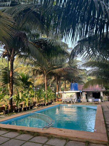 Гостиница Hotel North 39 Mandrem в Мандреме