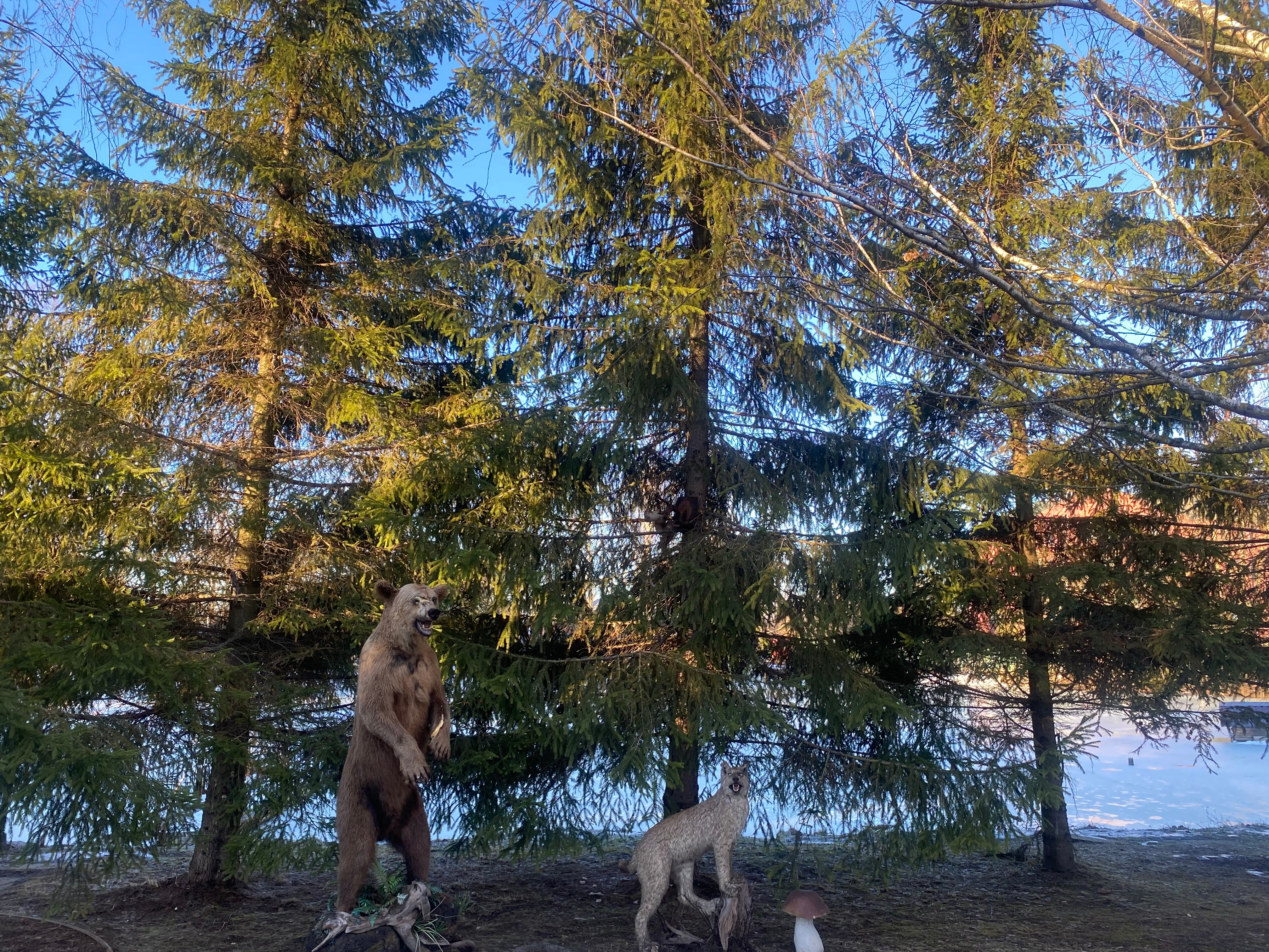 Фото Отель Шереметьево