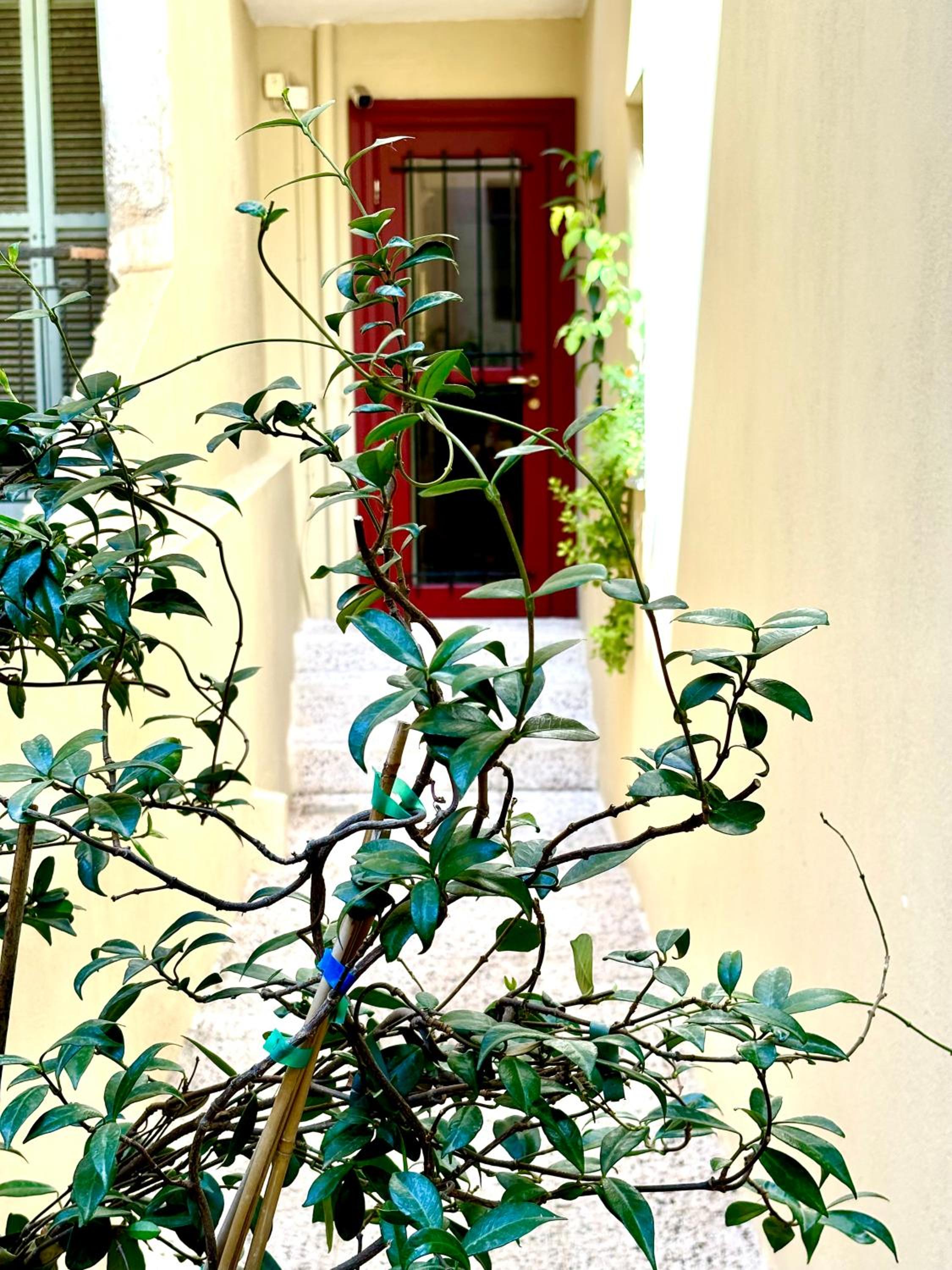 Фото Gatto Perso Luxury Apartments