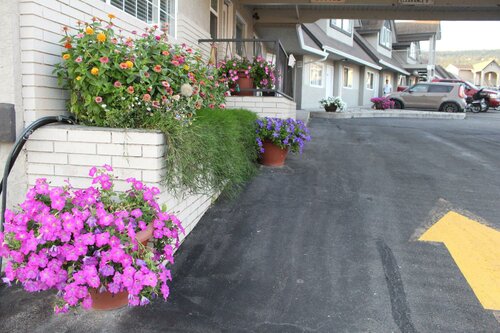 Гостиница Best Budget Inn & Suites Kamloops в Камлупсе