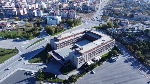 Гостиница Hilton Garden Inn Konya в Конье