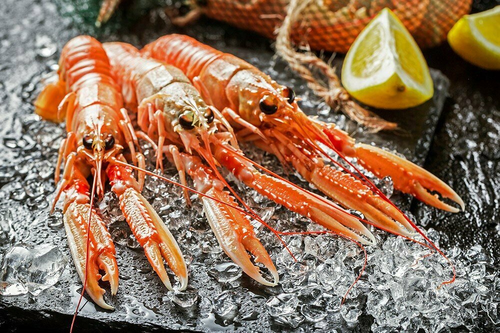 Fish and seafood Sealevel, Batumi, photo