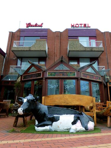 Гостиница Hotel Wienerhof