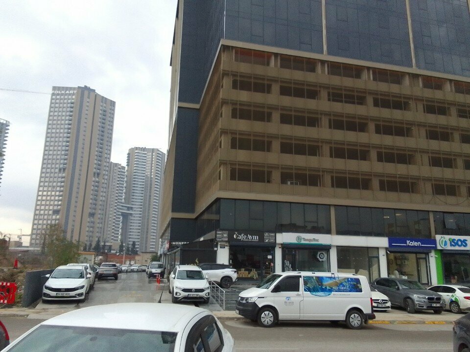 Disinfection, disinsection, deratization Enkar, Izmir, photo