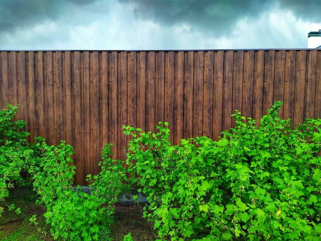 Fences and barriers Dostupnye Zabory, Kimry, photo