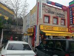 Turkish Nippon Insurance (Istanbul, Esenyurt, Asik Veysel Neighborhood, Suleyman Demirel Avenue, 15B), insurance broker