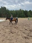 Ksk Spartak (Voronezh, Chukotskaya ulitsa, 46), club deportivo, sección