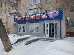 A pet (Bógenbaı batyr dańǵyly, 33), tienda de animales