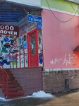 Теплицы (Gagarina Avenue, 105А), equipo de invernadero