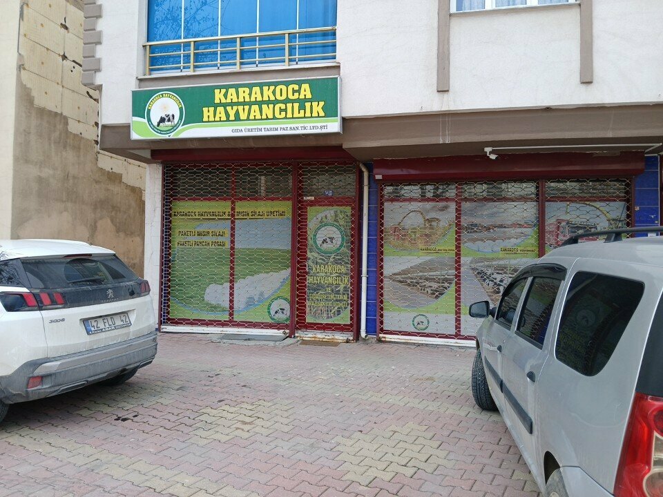 Management company Harakoca Hayvancilik, Konya, photo