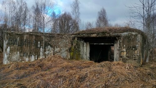 Landmark, attraction Долговременная огневая точка, Smolensk Oblast, photo