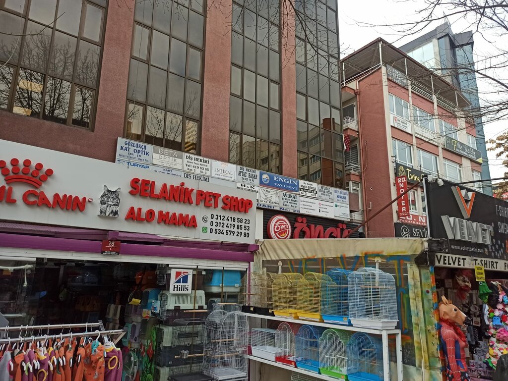 Opticial store Beta Optics, Ankara, photo