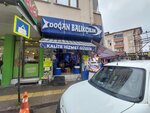 Dogan Fishery (Bursa, Osmangazi District, Turgut Ozal Avenue, 83C), fish and seafood