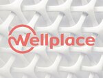 WellPlace (Varshavskoye Highway, 1с1-2), phone repair
