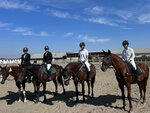 РГБУ ДО РДЮСШ по конному спорту, офис (ulitsa Gorkogo, 6А), horse riding