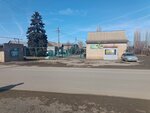 Snt Tsvetushchy sad (Volgograd Region, Volzhsky, SNT Tsvetushchiy Sad, Kashtanovaya ulitsa), asociaciones y sociedades hortícolas