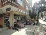 Zuhuratbaba Phyllo (Istanbul, Bakirkoy District, Zuhuratbaba Neighborhood, Composer Rauf Yekta Street, 4B), business consulting