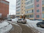 Уютная квартира (Dobrolyubova Street, 1), short-term housing rental