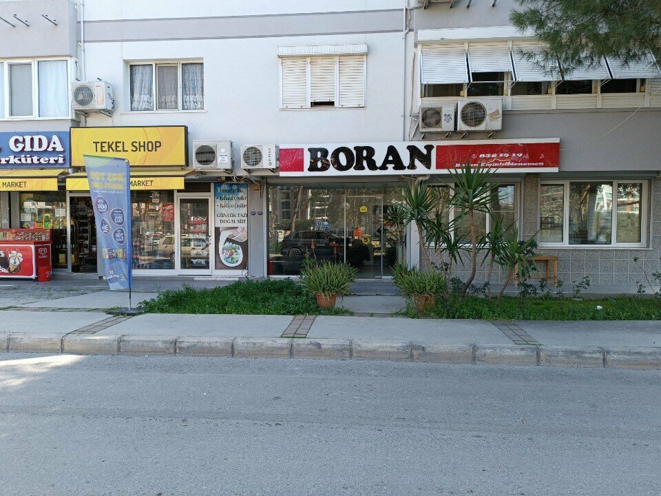 Real estate agency Boran Emlak, Izmir, photo