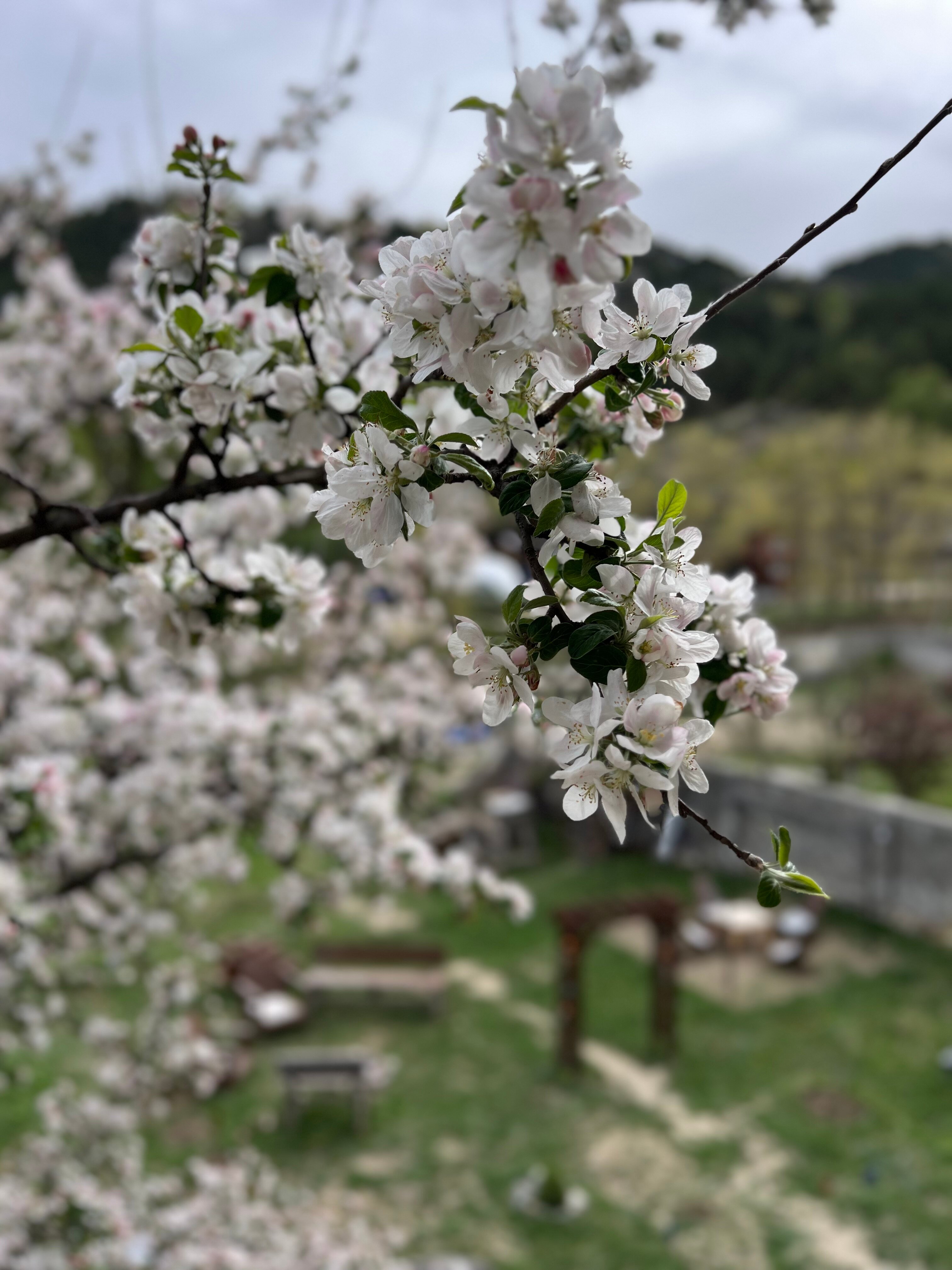 Фото Для друзей