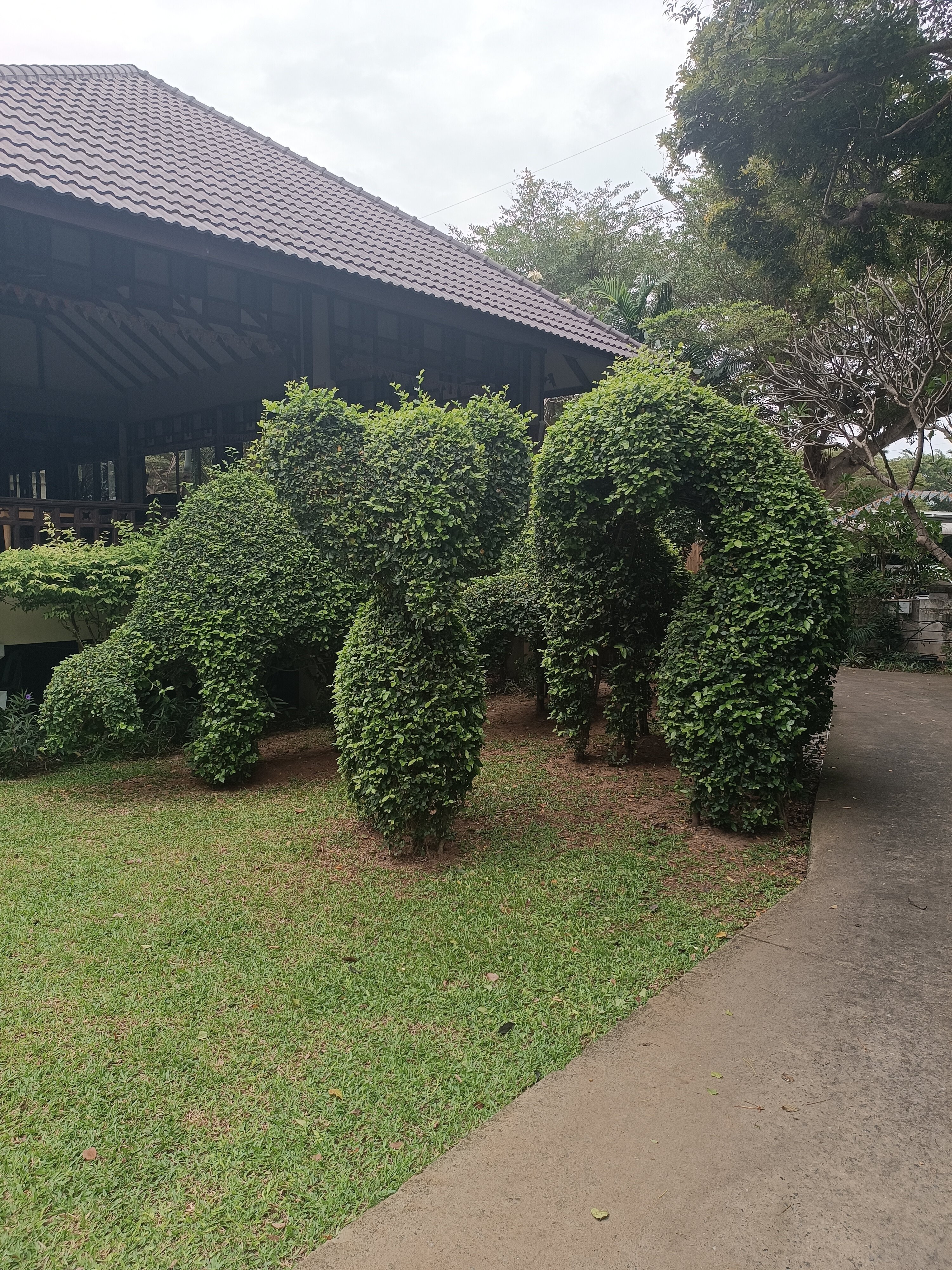 Фото Botany Beach Resort Pattaya