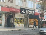 Destina Jewelry (Istanbul, Kartal, Abdi Ipekci Avenue, 50A), jewelry store