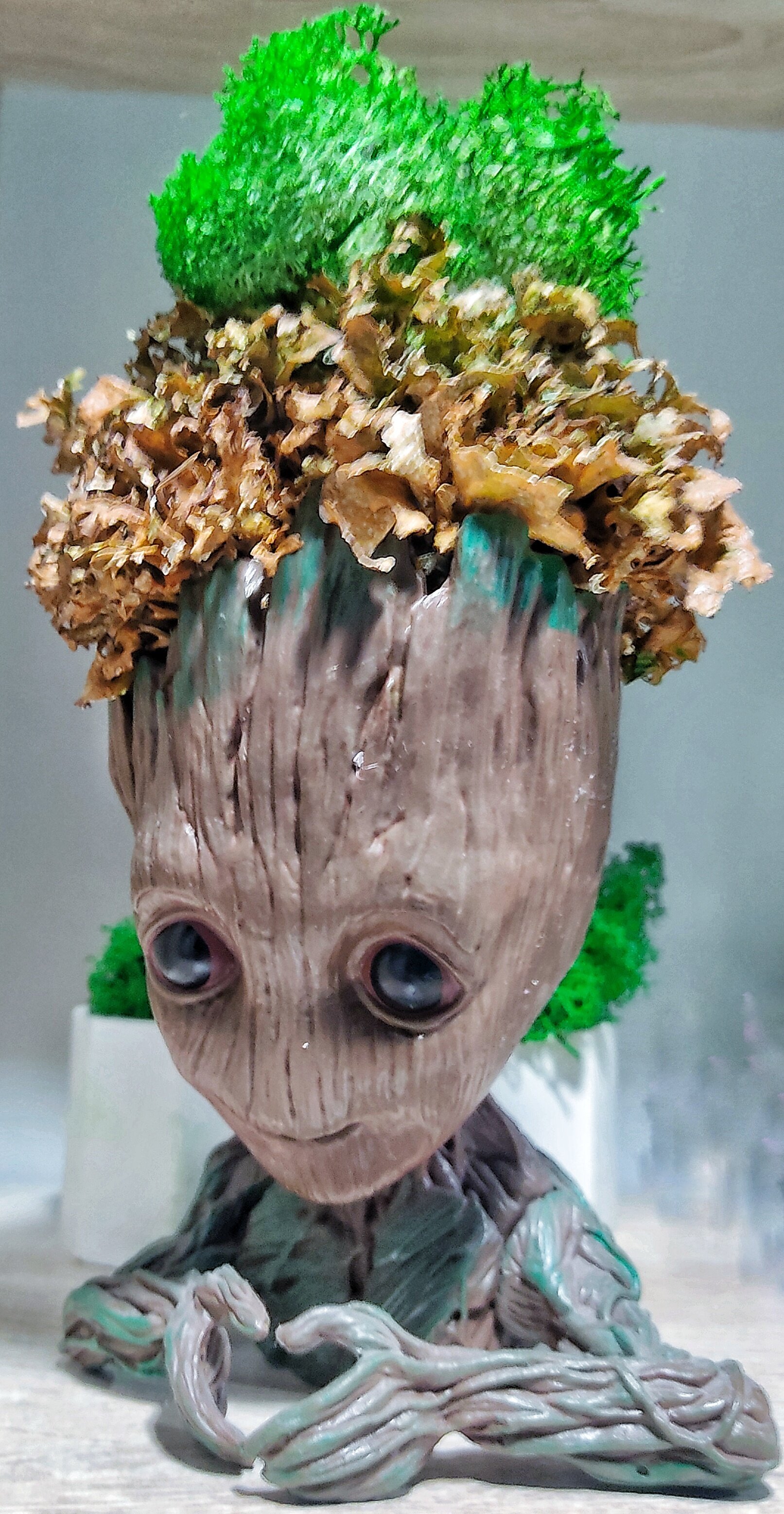 Фото Мун Скай 24/7