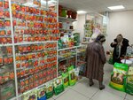 Бутик семян (ulitsa Leonova, 11) ، متجر مستلزمات البستنة