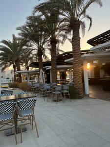 Гостиница Hyatt Regency Aqaba Ayla Resort