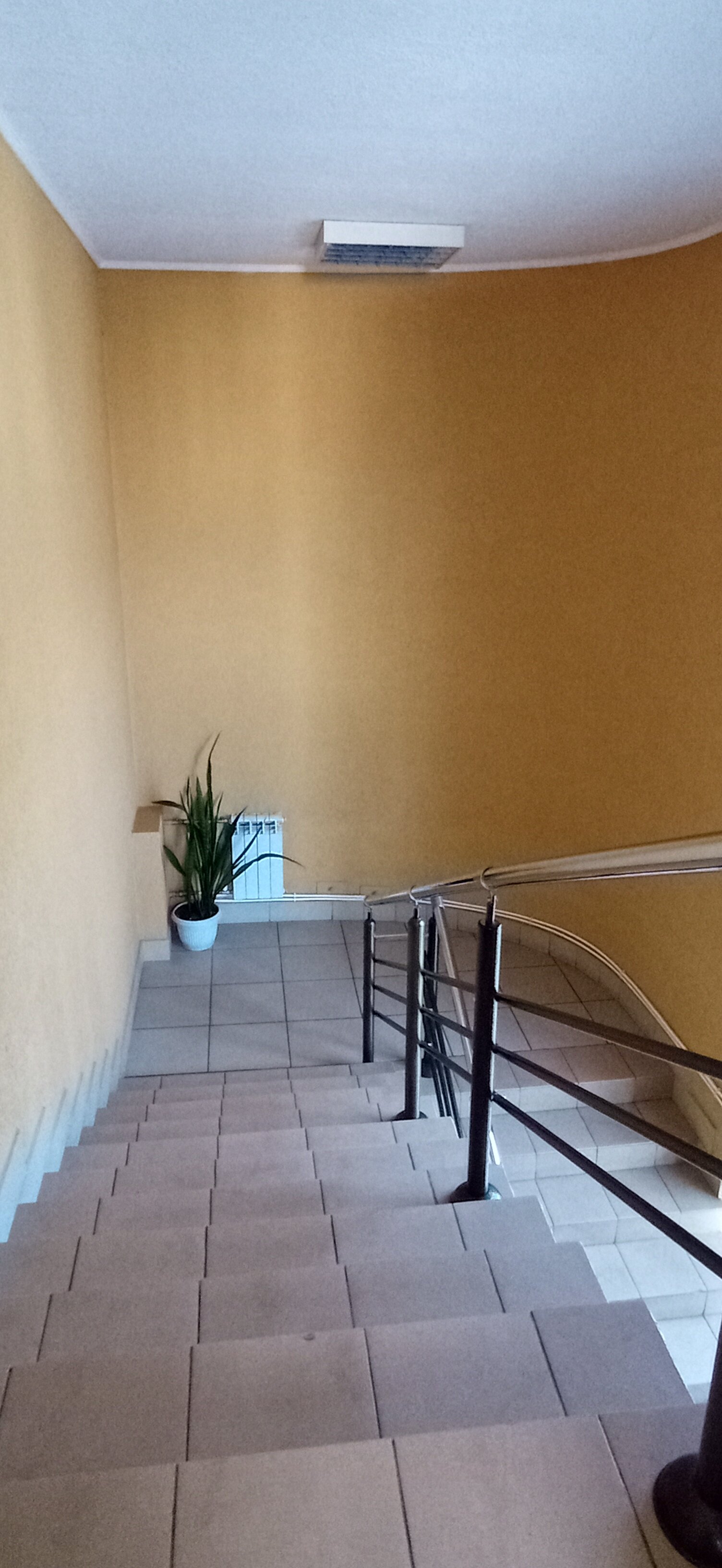 Фото На Светлом