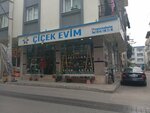 My Flower House (Izmir, Bornova, Mevlana Neighborhood, 1734th Street, 37), fast food