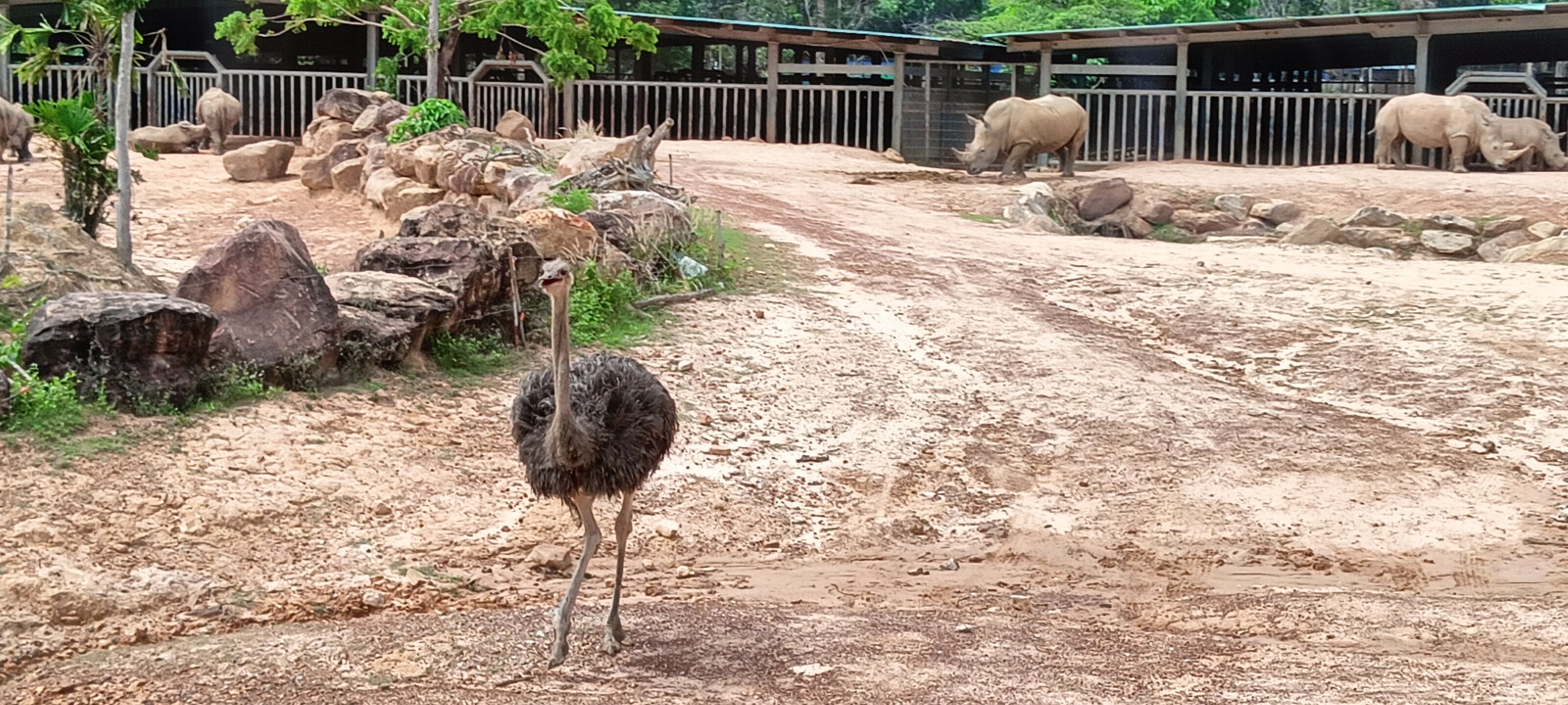 Фото Sea Star Resort, Phu Quoc