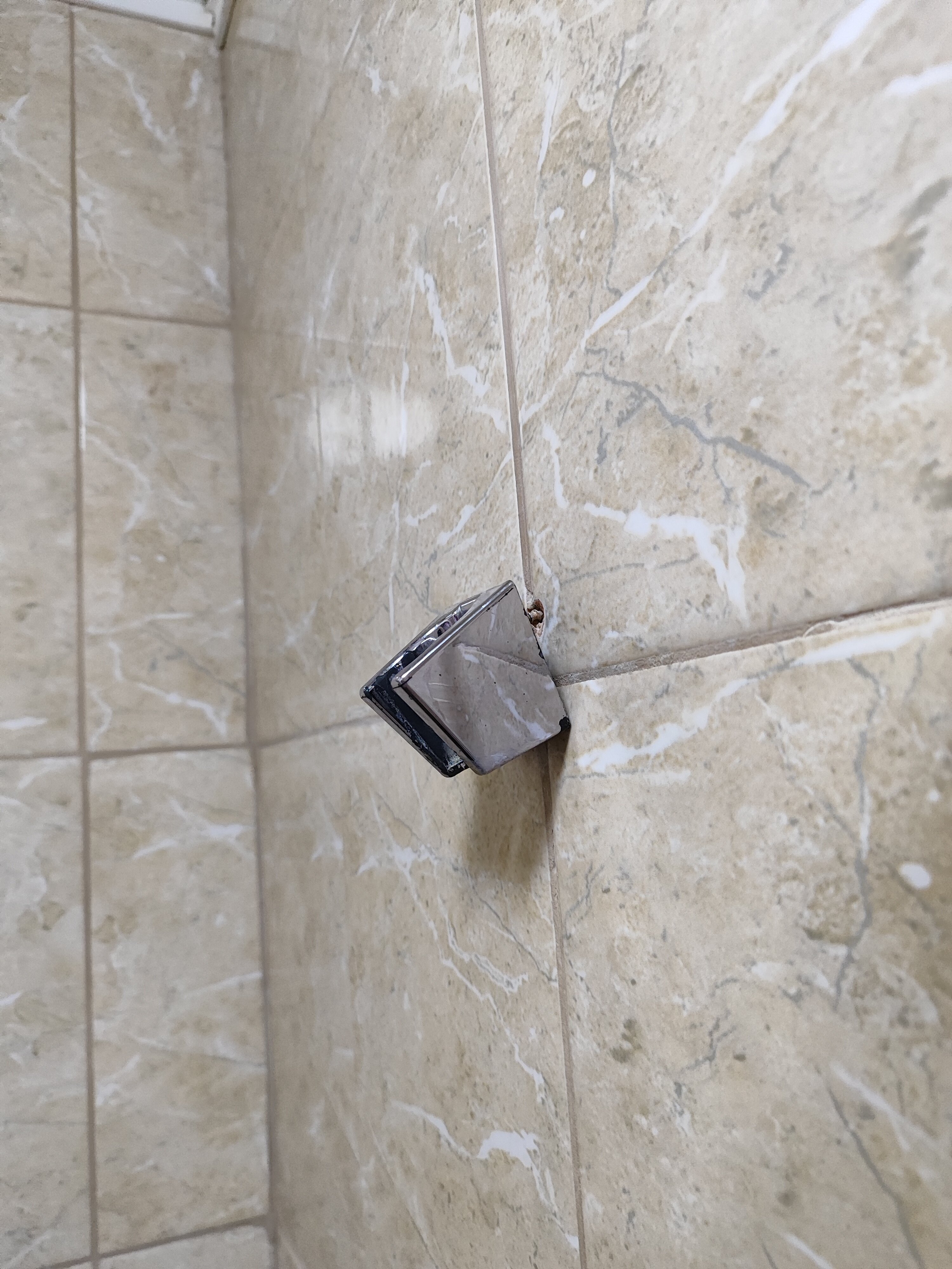 Фото Астория