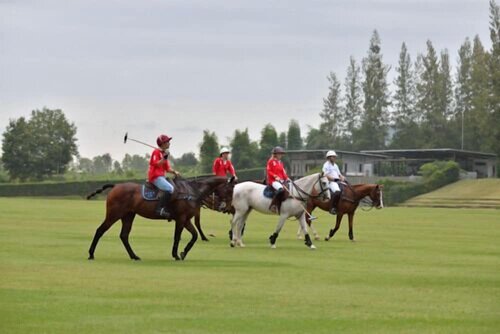 Гостиница Polo Escape
