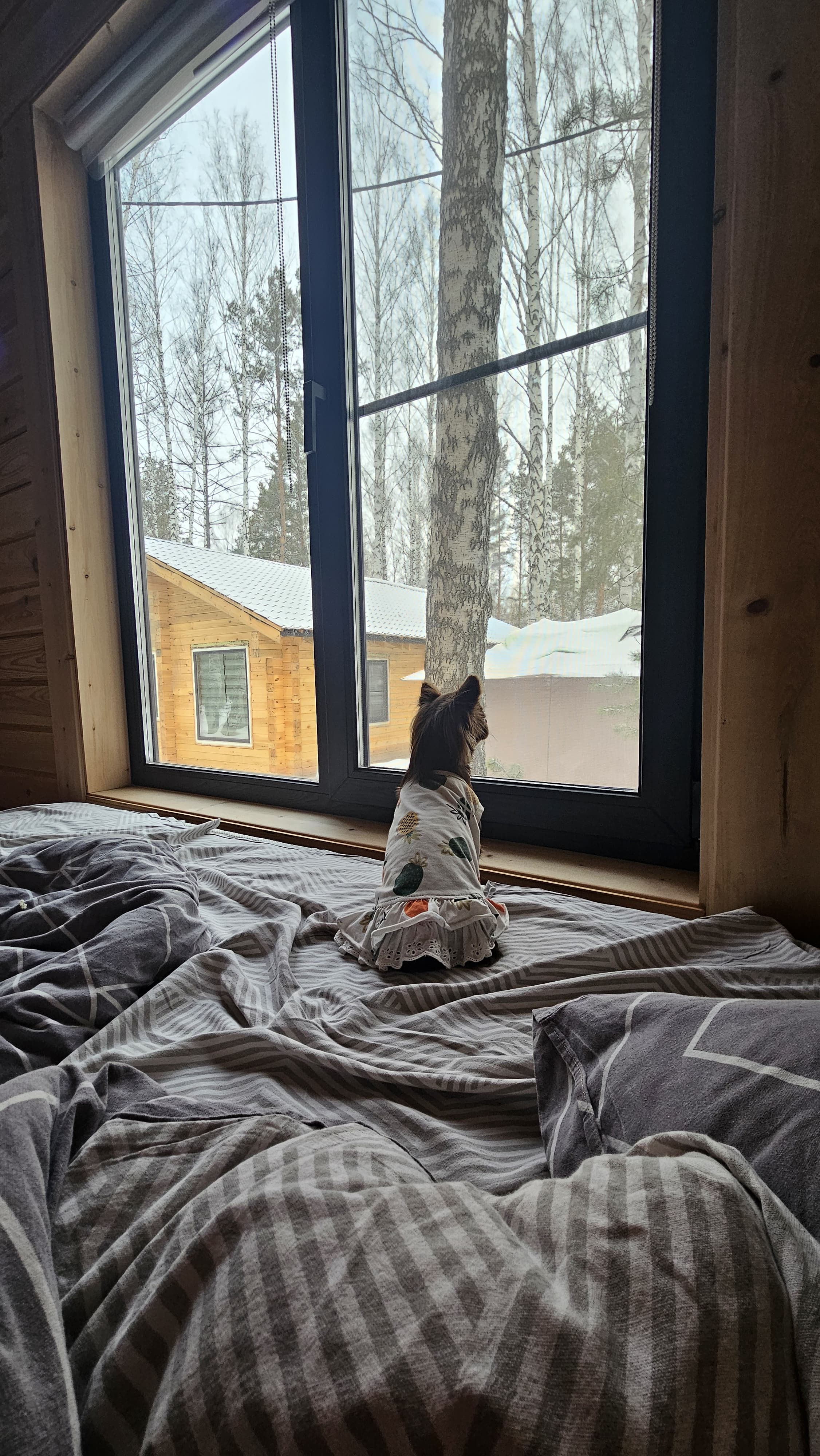 Фото DreamHouse Village