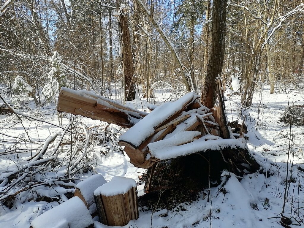 Memorial site, local landmark Бывший детский лагерь имени П. Морозова, Mogilev District, photo
