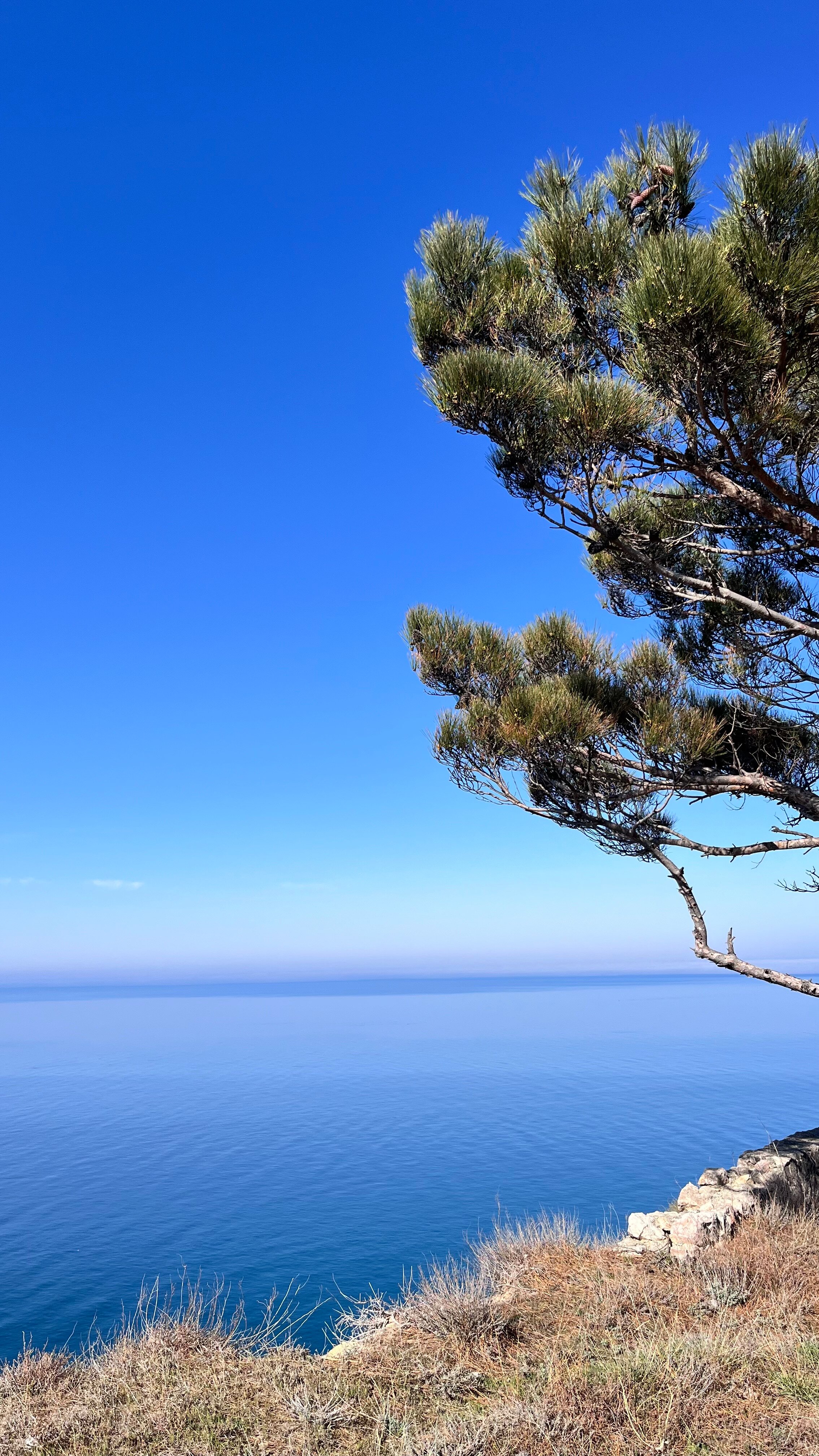 Фото Каравелла