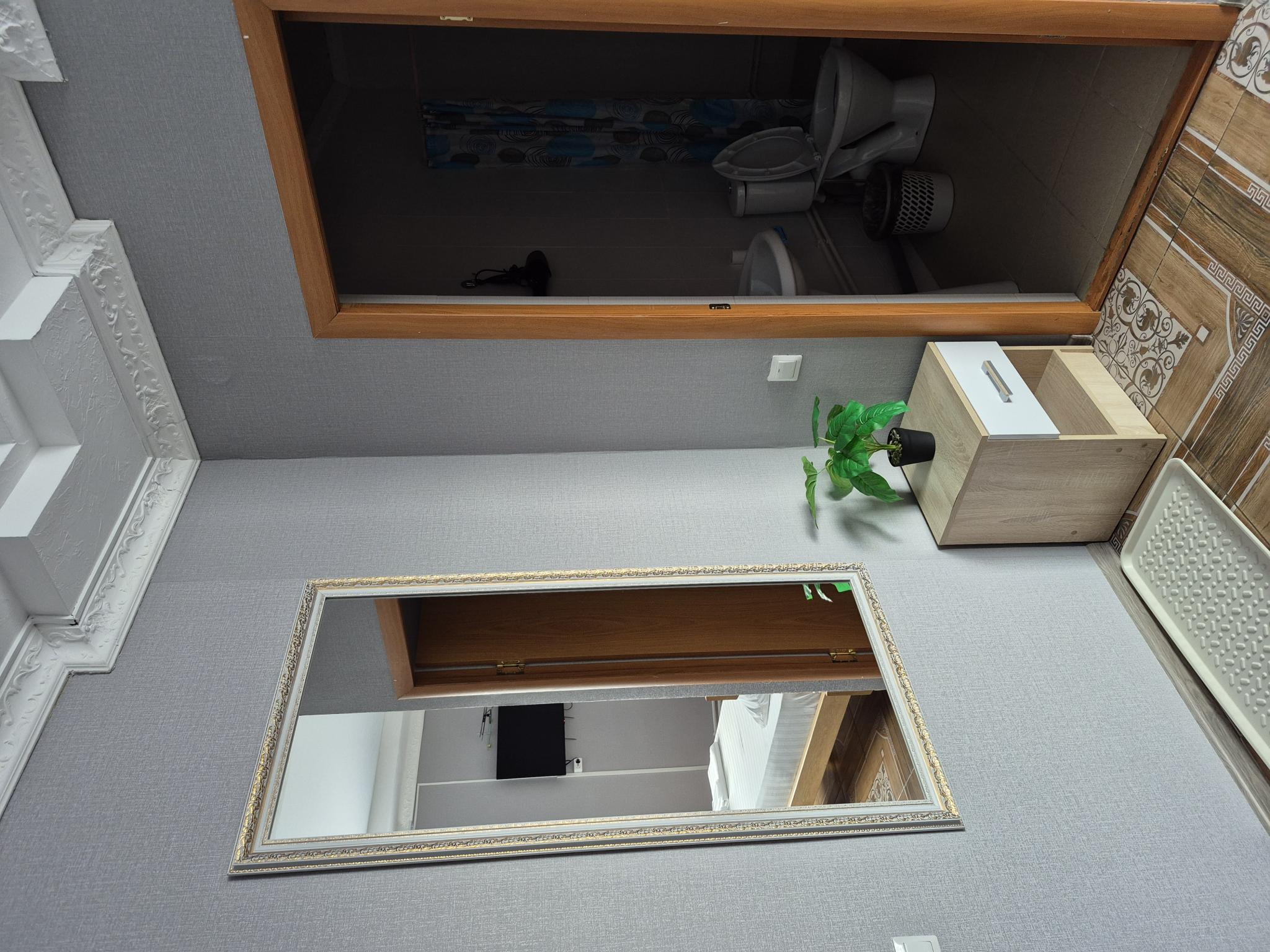 Фото Барракуда