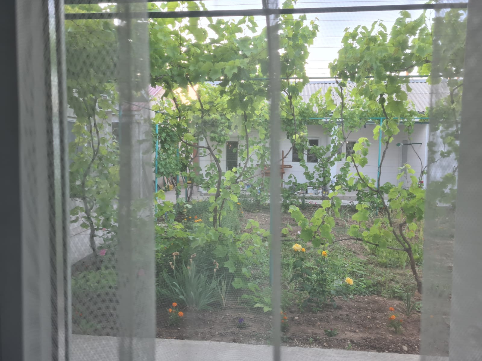 Фото Южный Берег