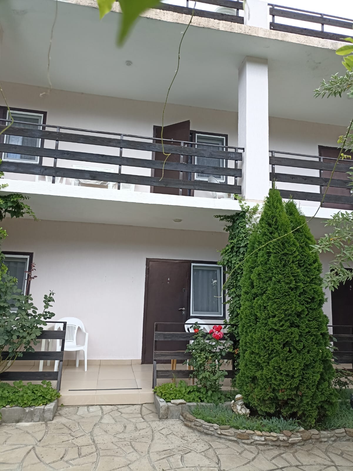 Фото Пчелка