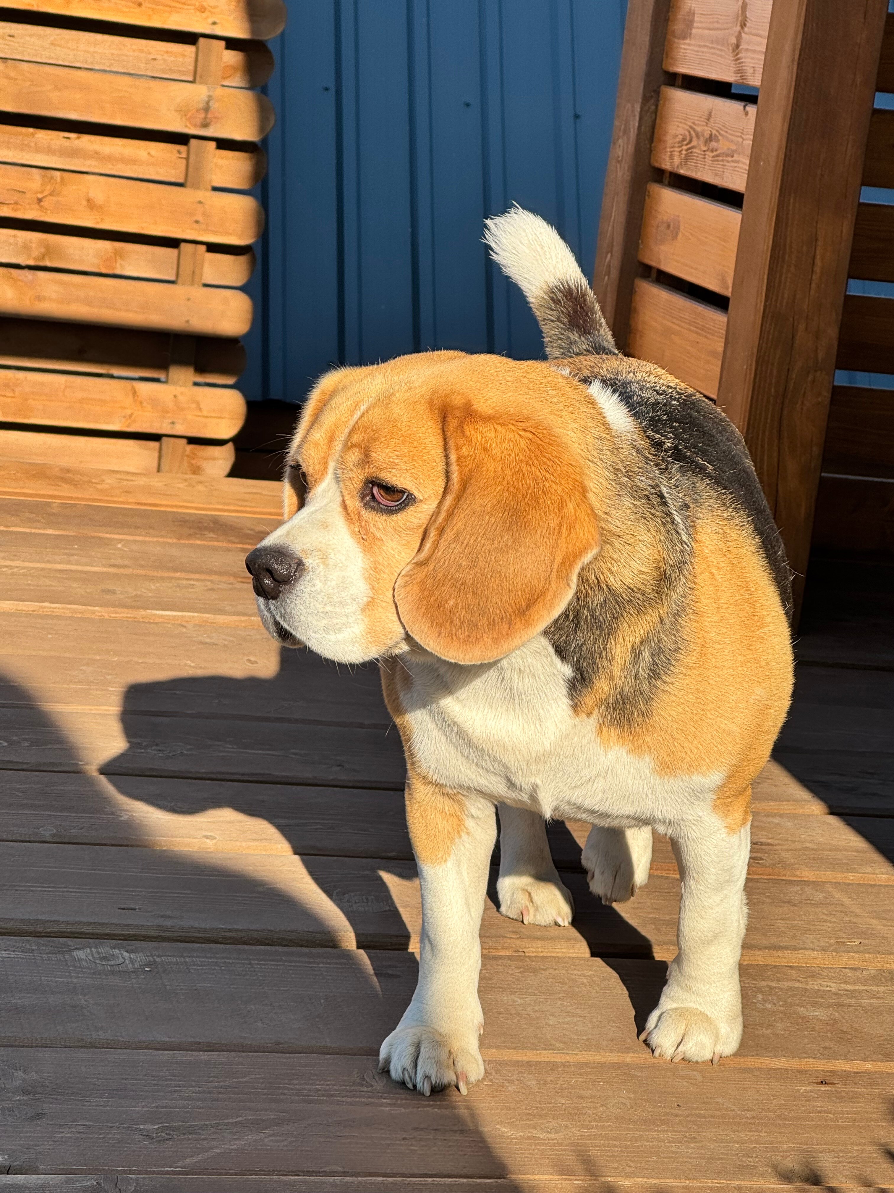 Фото Кандры Хауз