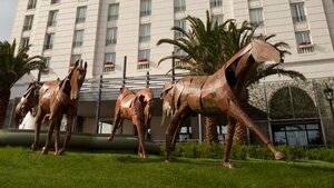 Гостиница Four Seasons Hotel Buenos Aires