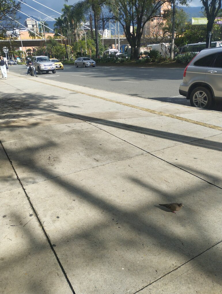 Shopping mall Cc Viva, Antioquia Department, photo